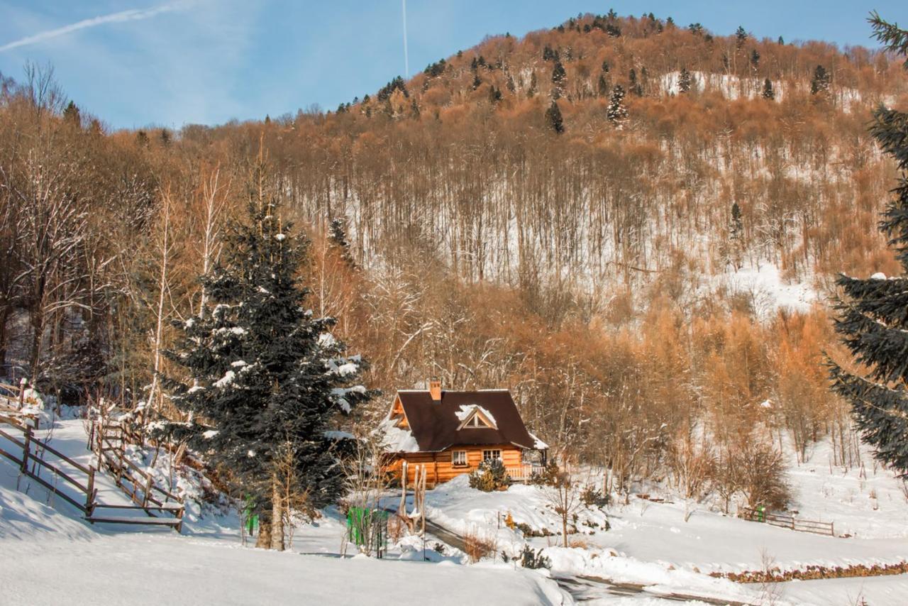 Lesne Uroczysko Villa Cisna Exterior foto